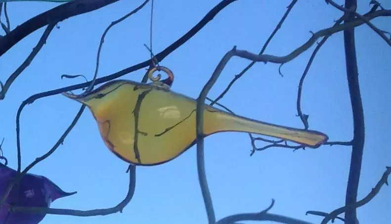 Ptáček světle žlutý